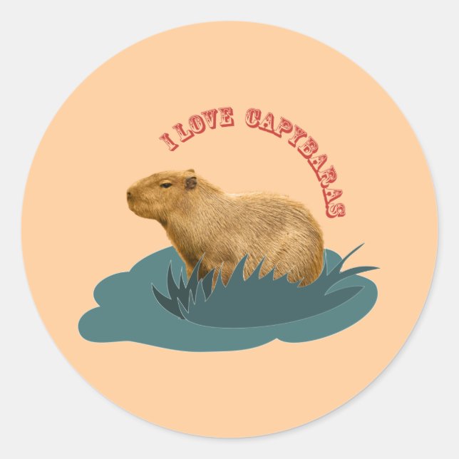 I Love Capybaras Cute Capybara Lover Classic Round Sticker (Front)