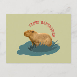 I Love Capybaras Cute Capybara Lover Postcard