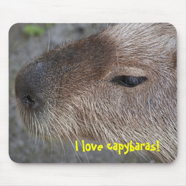 I love capybaras mouse pad (Front)