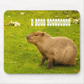 I love Capybaras Mousepad
