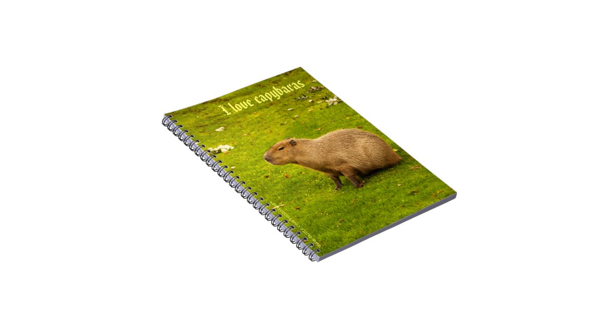 I love capybaras Notebook | Zazzle