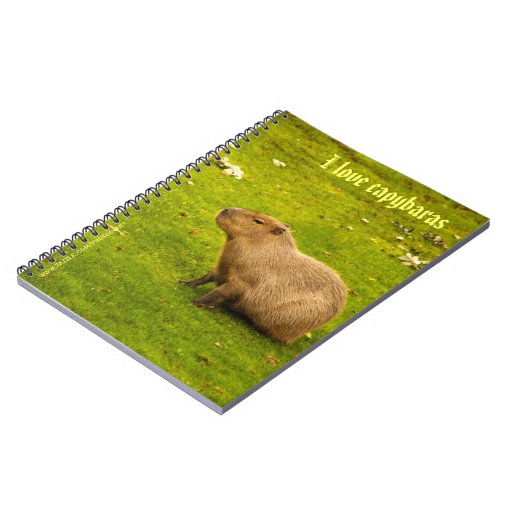 I love capybaras Notebook | Zazzle