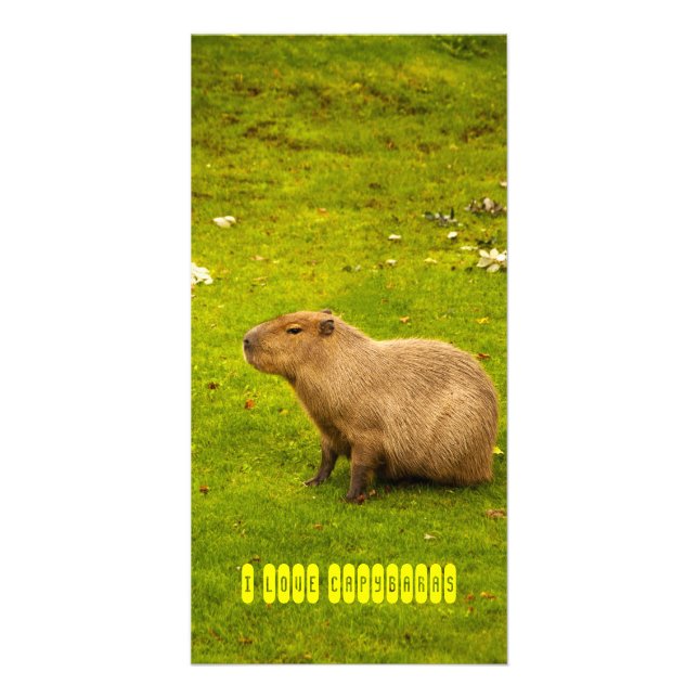 I love capybaras Photo Card (Front)