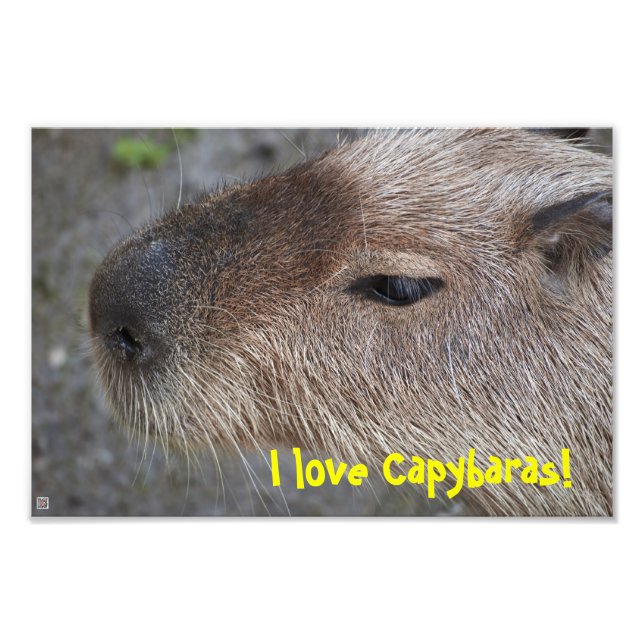 I love Capybaras! Photo Enlargement Print (Front)
