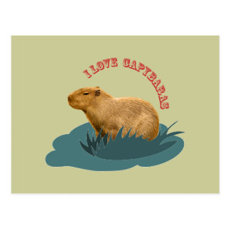 Capybara Postcards | Zazzle