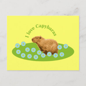I love Capybaras Postcard
