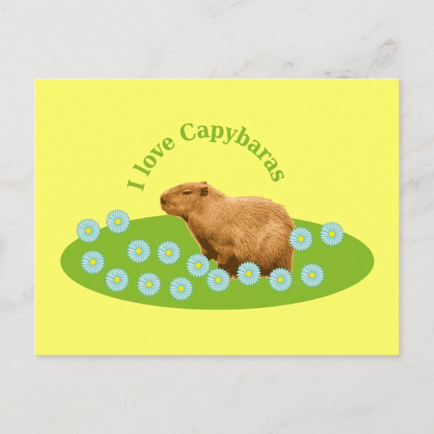 Capybara Cards | Zazzle