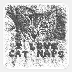 I Love Cat Naps, cat sleeping Square Sticker