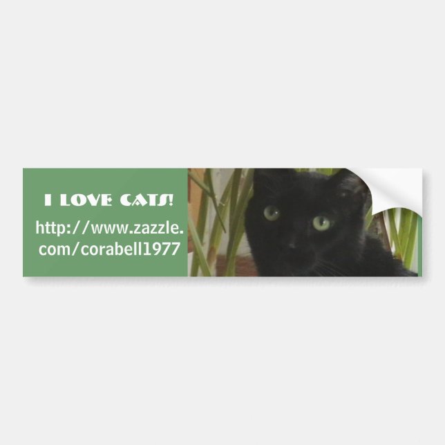 I Love Cats! Bumper Sticker (Front)