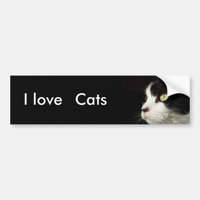 I love, Cats bumper sticker (Front)