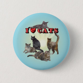 I love Cats Button