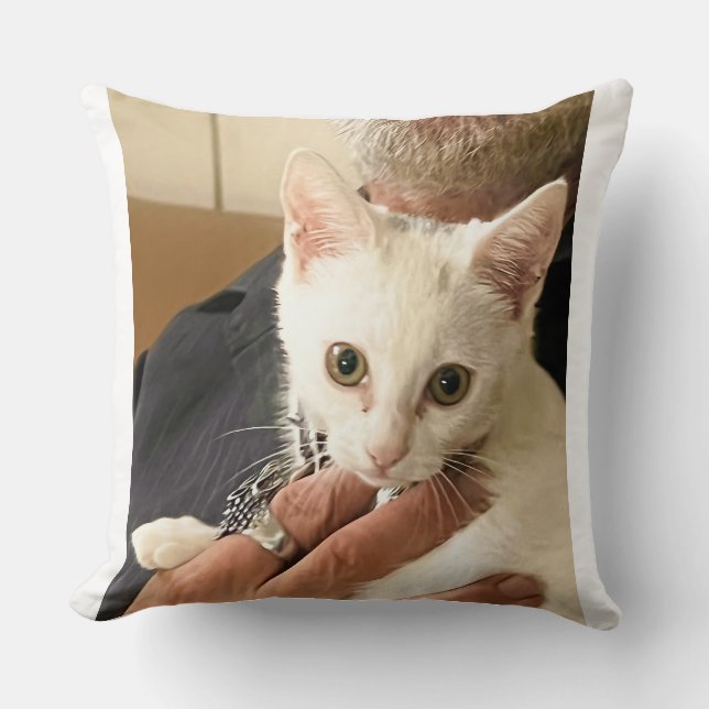 I Love Cats! Cat Throw Pillow (Front)