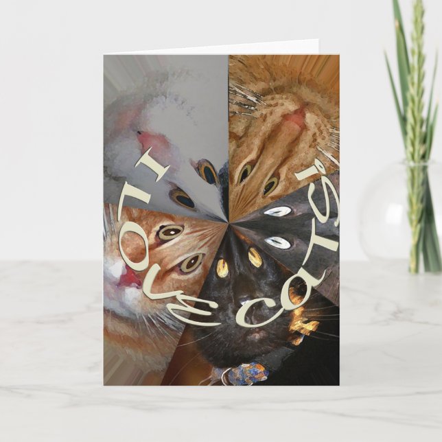 I Love Cats Greeting Card (Front)