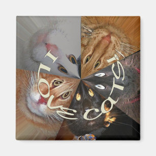 I Love Cats Magnet