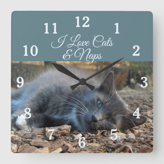 I Love Cats & Naps Wall Clock (Front)