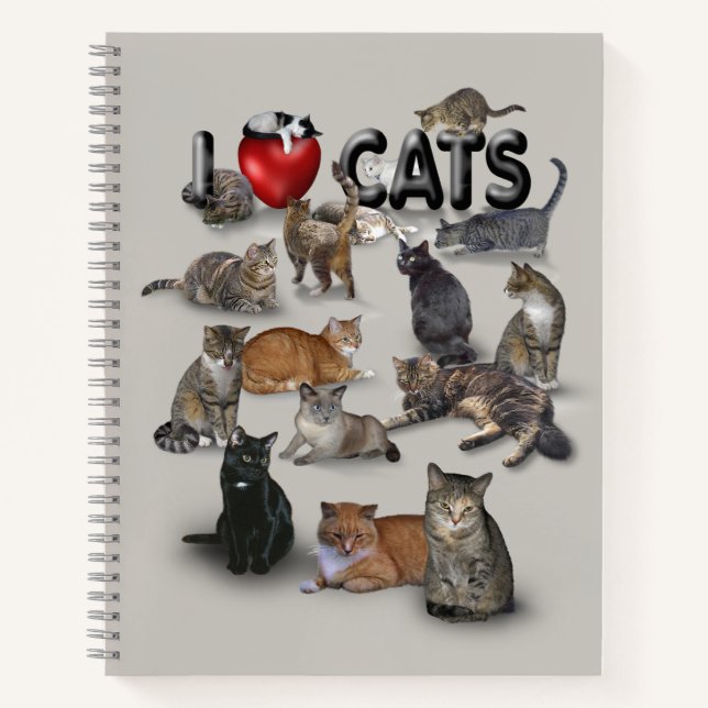 I love Cats 😻 Notebook (Front)