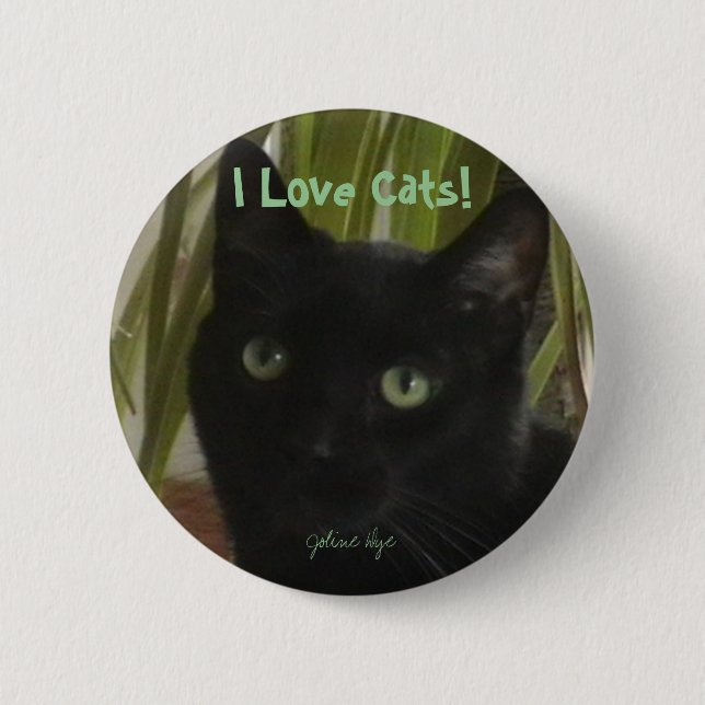 I Love Cats! Pinback Button (Front)