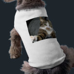 I love cats shirt<br><div class="desc">Cat on my back!</div>