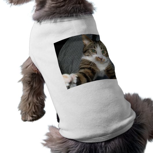 I love cats shirt (Back)