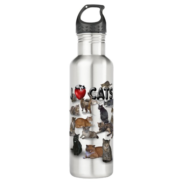 I love Cats Stainless Steel Water Bottle (Front)