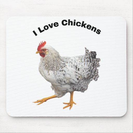 I Love Chickens. chickens, humor, funny Mouse Pad