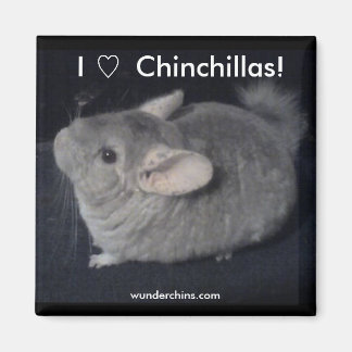 I Love Chinchillas Magnet