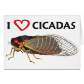 I Love Cicada (Front Horizontal)