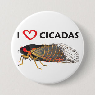 "I Love Cicada" Button