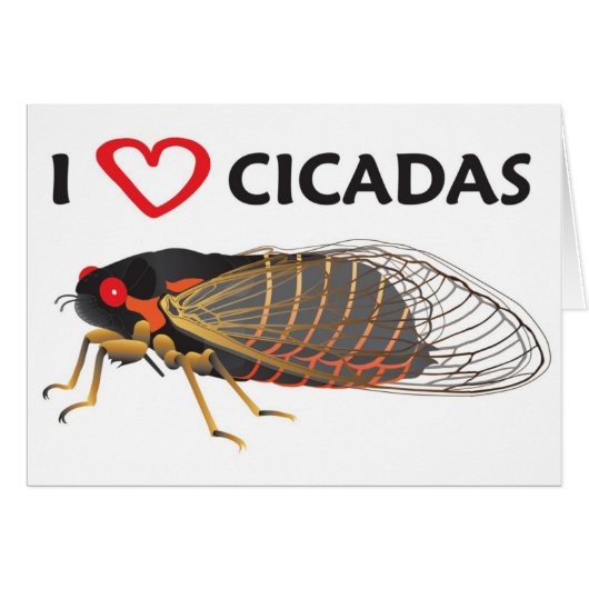 I Love Cicada Cards (Front Horizontal)