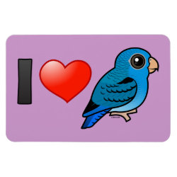 I Love Cobalt Lineolated Parakeets 4