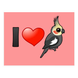 I Love Cockatiels Postcard
