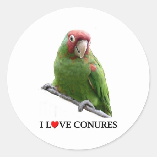 I love conures too classic round sticker