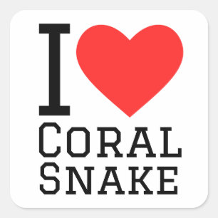 I love coral snake square sticker