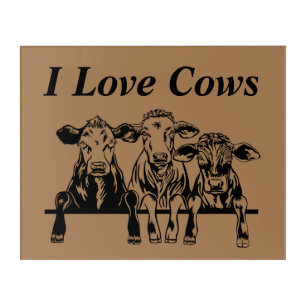 I Love Cows Acrylic Print