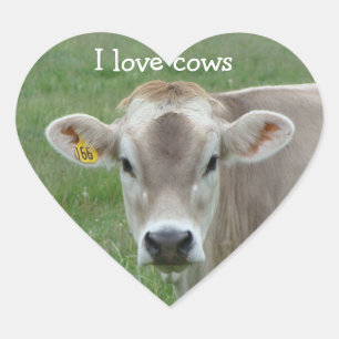 I Love Cows Jersey Cow Heart Sticker