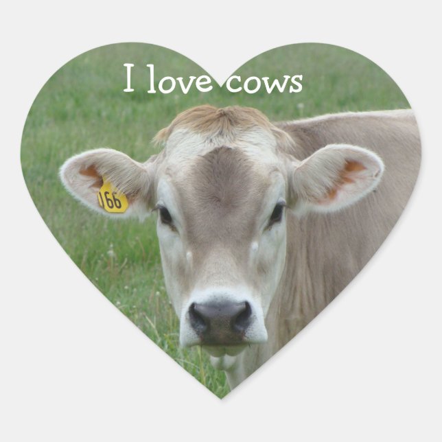 I Love Cows Jersey Cow Heart Sticker (Front)
