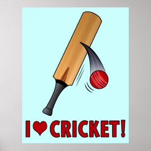 I Love Cricket Bat and Ball Poster