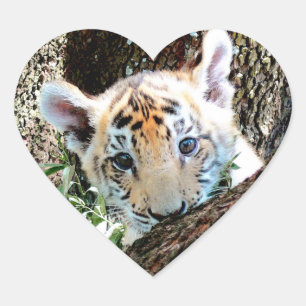 I Love Cute Baby Tiger Cubs Heart Sticker