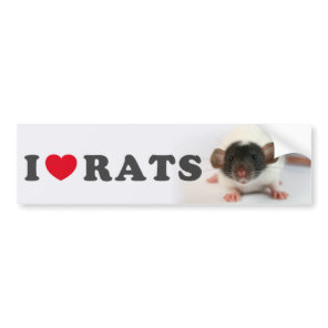 I love (cute) Rats Bumper Sticker