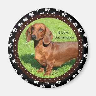 I love Dachshunds 2 Magnet