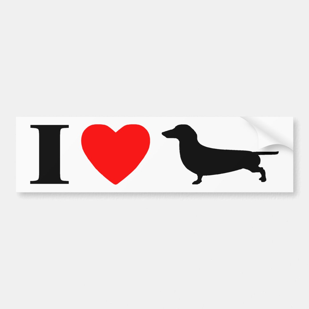 I Love Dachshunds Bumper Sticker | Zazzle