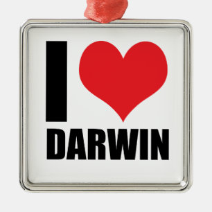 I love Darwin Metal Ornament