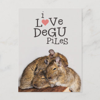 I Love Degu Piles Postcard