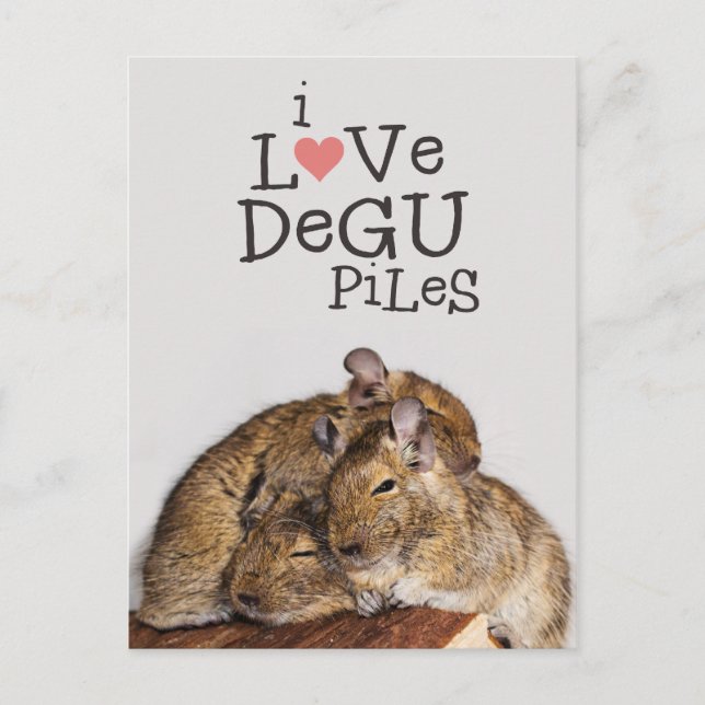 I Love Degu Piles Postcard (Front)