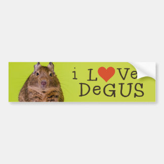 I Love Degus Bumper Sticker