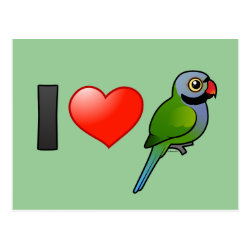 I Love Derbyan Parakeets Postcard