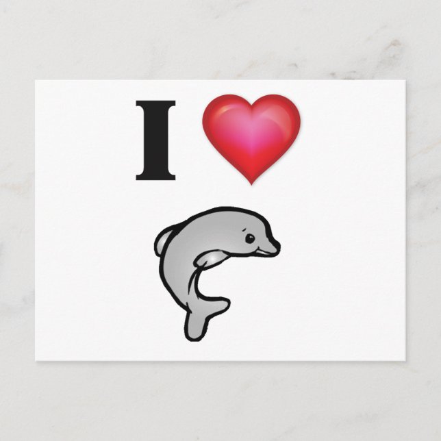 I love dolphins postcard (Front)