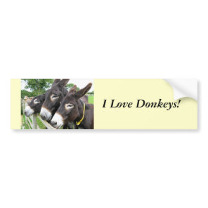 I Love Donkeys! Bumper Sticker