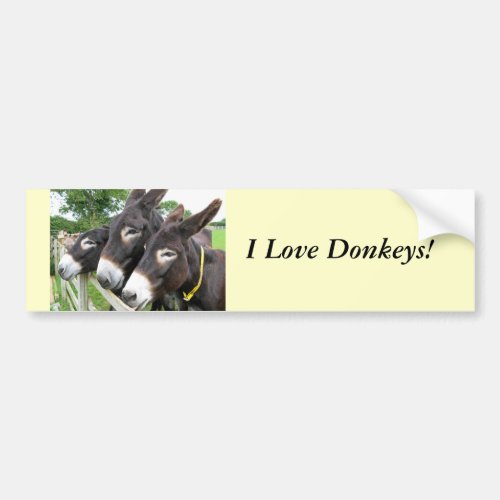 I Love Donkeys Bumper Sticker