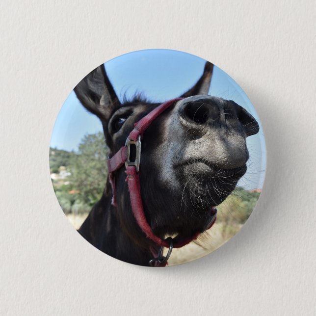 I Love Donkeys! Button (Front)
